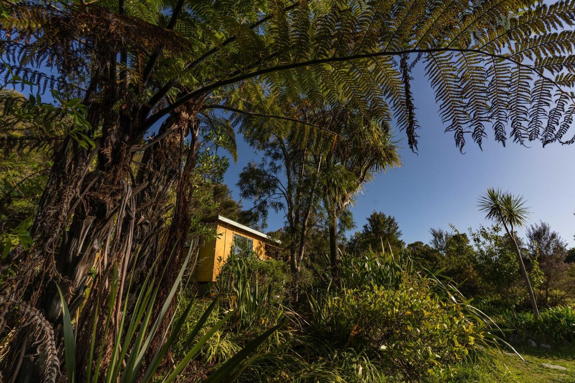 Hotel Ao Marama Retreat Collingwood Exterior foto
